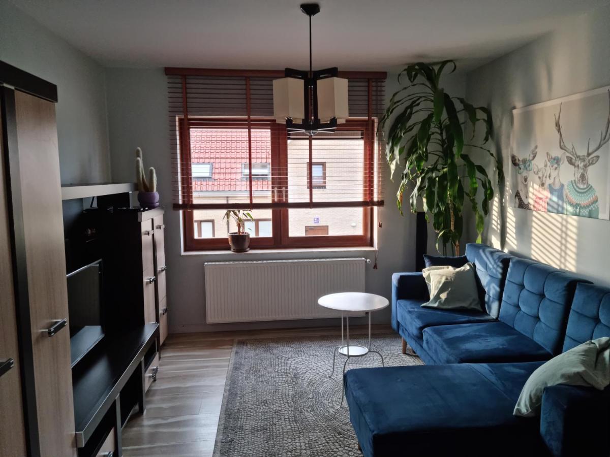 Apartament Mamert Ustronie Morskie Zewnętrze zdjęcie